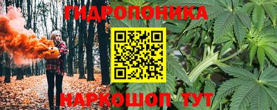 a pvp Заволжье