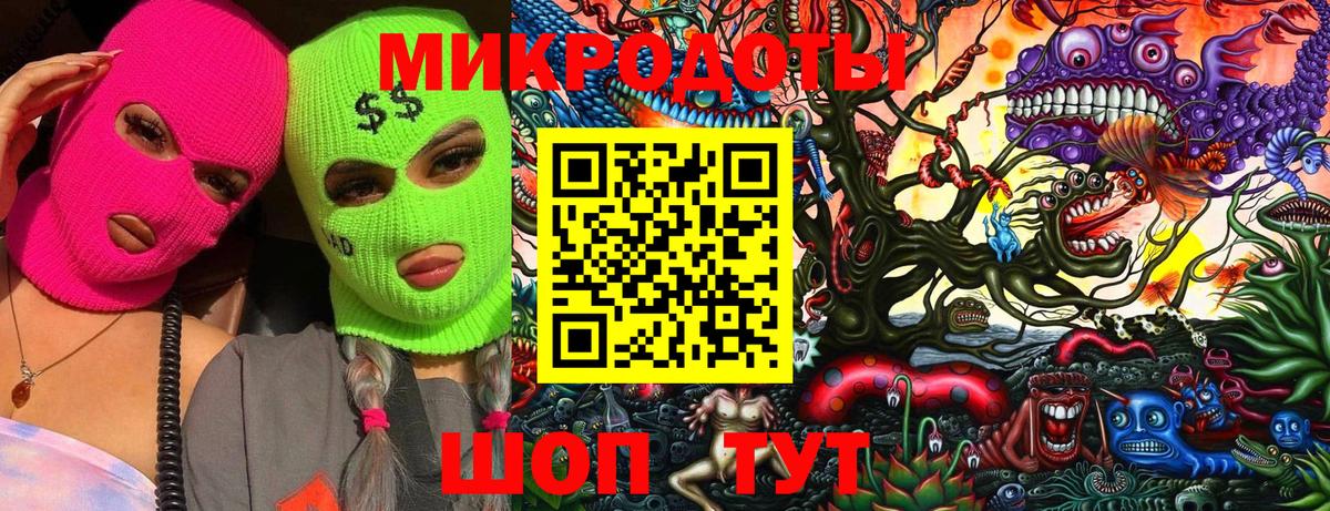 Псилоцибиновые грибы мицелий Кострома