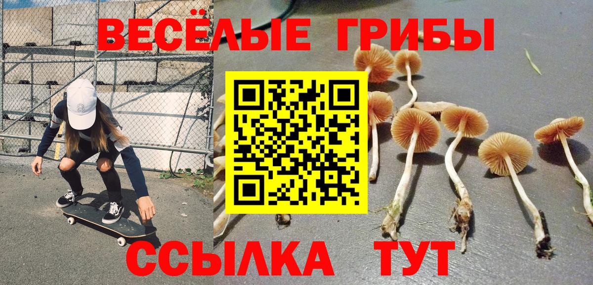 Галлюциногенные грибы мухоморы  Вход с VPN  Кострома  Псилоцибиновые грибы Psilocybe 